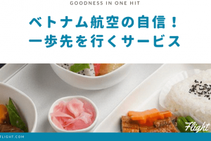 ベトナム航空の口コミ 最悪って本当 安全性は大丈夫 リアルな評判を徹底公開 ベトナムフライトの達人